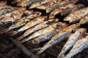 Gran Sardinada popular + Havaneres