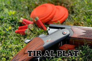 Campionat de tir al plat