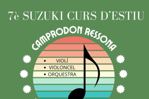 Curs Suzuki d'Estiu