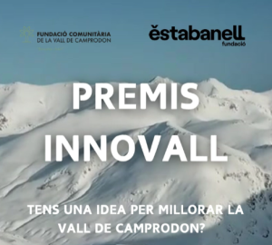 Entrega de premis: Premis Innovall