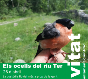 Els ocells del riu Ter: jornada d'anellament científic