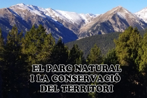 El Parc Natural de les Capçaleres del Ter i el Freser i la conservació del territori