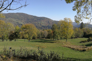 Ruta guiada "Camprodon, Vila estiueig"