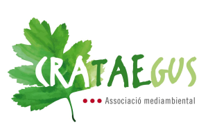 Descobrim la natura amb l'associació Crataegus