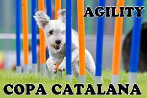 Copa Catalunya d'Agility + Petit Mercat Artesà