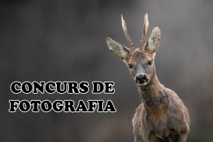 21a Edició del Concurs de Fotografia de la Vall