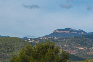 Coneix les pastures estivals de Rojà