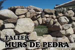 Taller de murs de pedra