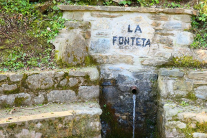 Caminada solidària amb l'Oncolliga