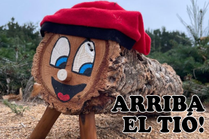 Encesa de llums de Nadal