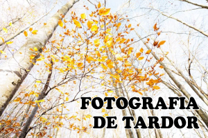 Taller de fotografia de tardor a MónNatura Pirineus