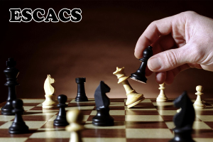 Taller: "Aprèn a jugar a escacs"